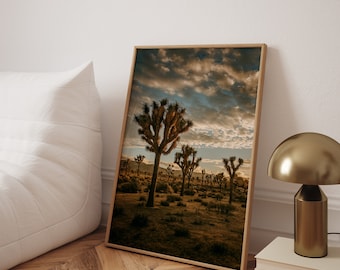 Joshua Tree National Park Sunset Photo Print - Mojave Desert Art
