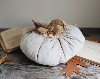 Rustic Boho Farmhouse Canvas Fabric Faux Plush Pumpkin w/ Real Dried Stem, Bohemian Fall Decoration, Neutral Cottage Chic Autumn Decor