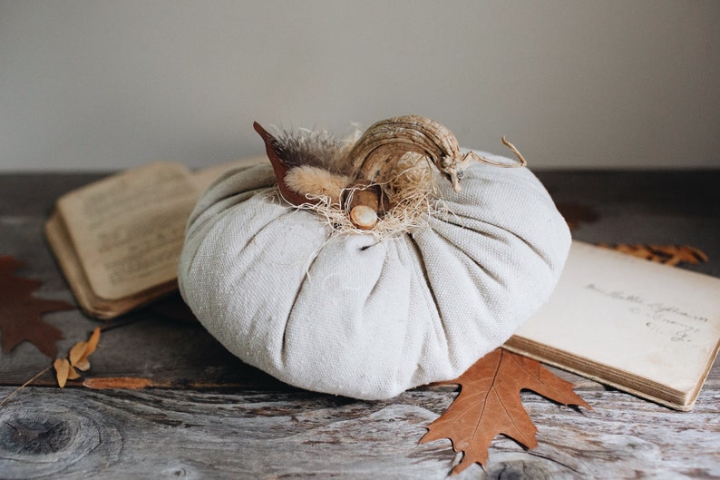 Rustic Boho Farmhouse Canvas Fabric Faux Plush Pumpkin w/ Real Dried Stem, Bohemian Fall Decoration, Neutral Cottage Chic Autumn Decor image 1