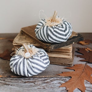 Rustic Farmhouse Black & White Ticking Mini Faux Pumpkins, Set of Two, Real Dried Stem, Striped Rustic Fall Decorations Autumn Cottage Decor