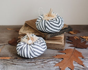 Rustic Farmhouse Black & White Ticking Mini Faux Pumpkins, Set of Two, Real Dried Stem, Striped Rustic Fall Decorations Autumn Cottage Decor