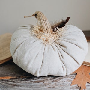 Rustic Boho Farmhouse Canvas Fabric Faux Plush Pumpkin w/ Real Dried Stem, Bohemian Fall Decoration, Neutral Cottage Chic Autumn Decor image 5