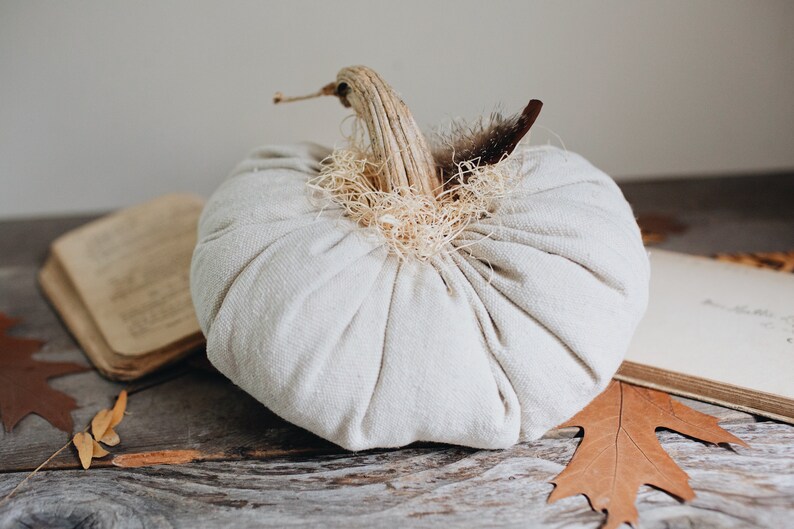 Rustic Boho Farmhouse Canvas Fabric Faux Plush Pumpkin w/ Real Dried Stem, Bohemian Fall Decoration, Neutral Cottage Chic Autumn Decor image 5