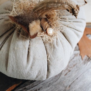 Rustic Boho Farmhouse Canvas Fabric Faux Plush Pumpkin w/ Real Dried Stem, Bohemian Fall Decoration, Neutral Cottage Chic Autumn Decor image 9