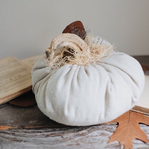 Rustic Boho Farmhouse Canvas Fabric Faux Plush Pumpkin w/ Real Dried Stem, Bohemian Fall Decoration, Neutral Cottage Chic Autumn Decor image 4