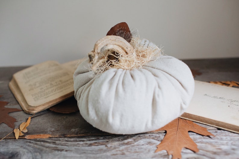 Rustic Boho Farmhouse Canvas Fabric Faux Plush Pumpkin w/ Real Dried Stem, Bohemian Fall Decoration, Neutral Cottage Chic Autumn Decor image 4