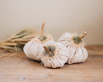 Cream Chenille Plush Pumpkins w/ Real Dried Stems and Faux Succulents, Rustic Modern Neutral Fall Decoration, Autumn Thanksgiving Decor