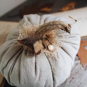 Rustic Boho Farmhouse Canvas Fabric Faux Plush Pumpkin w/ Real Dried Stem, Bohemian Fall Decoration, Neutral Cottage Chic Autumn Decor image 7