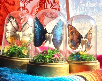 Faux Taxidermy Tooth Fairy Cloche: Hand-Painted Wings & Resin Tooth