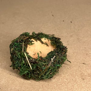 Magnetic Mini Food Bowl, Terrarium Feeder Bowl for Spider, Mirco Gecko Food Bowl, Arboreal Feeding Bowl, Magnetic MossDecor, Mossy Wood Bowl