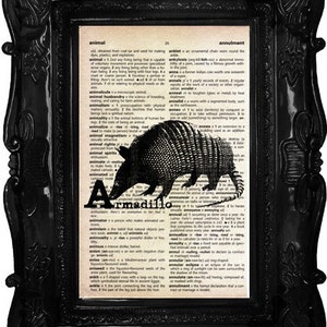 Animal Alphabet ABC Print on Vintage Dictionary Page Armadillo image 2