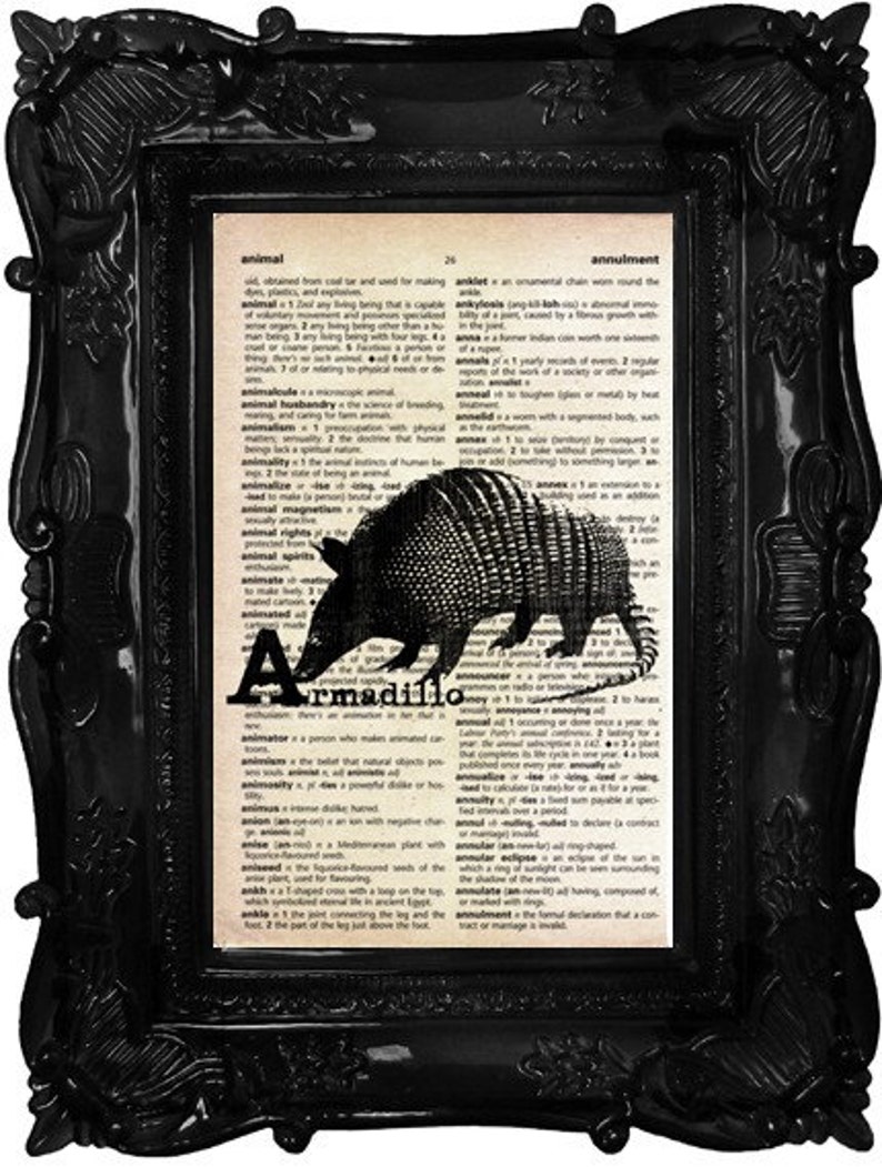 Animal Alphabet ABC Print on Vintage Dictionary Page Armadillo image 2