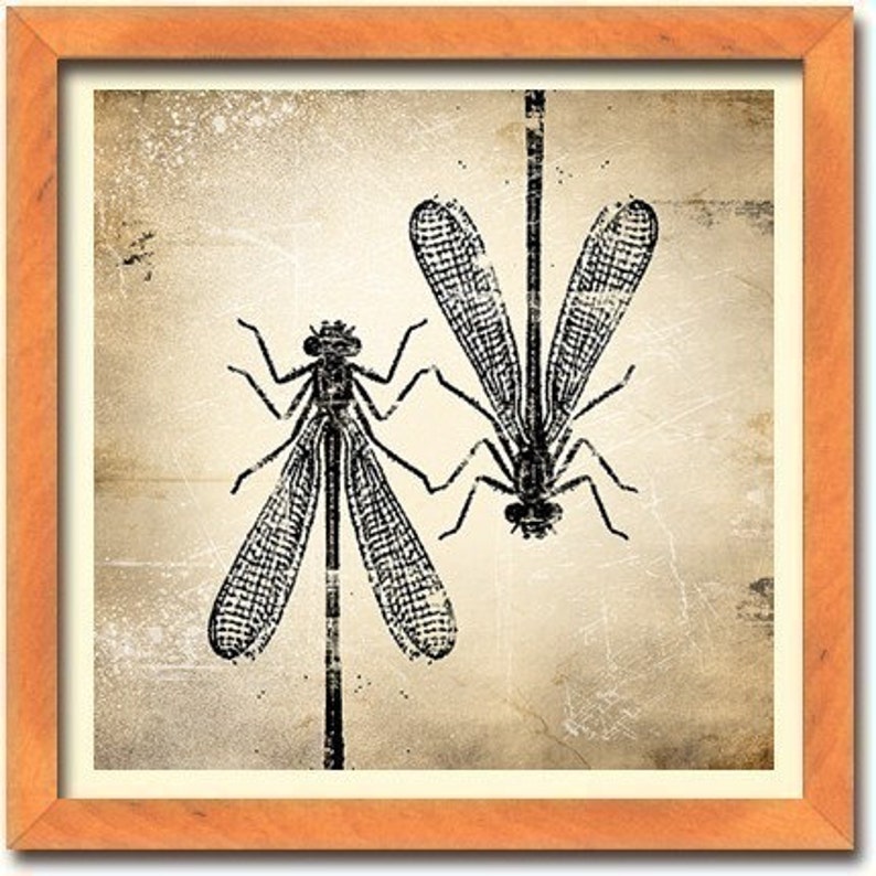 6x6 Insect Print Damselfly image 2