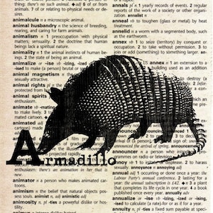 Animal Alphabet ABC Print on Vintage Dictionary Page Armadillo image 1