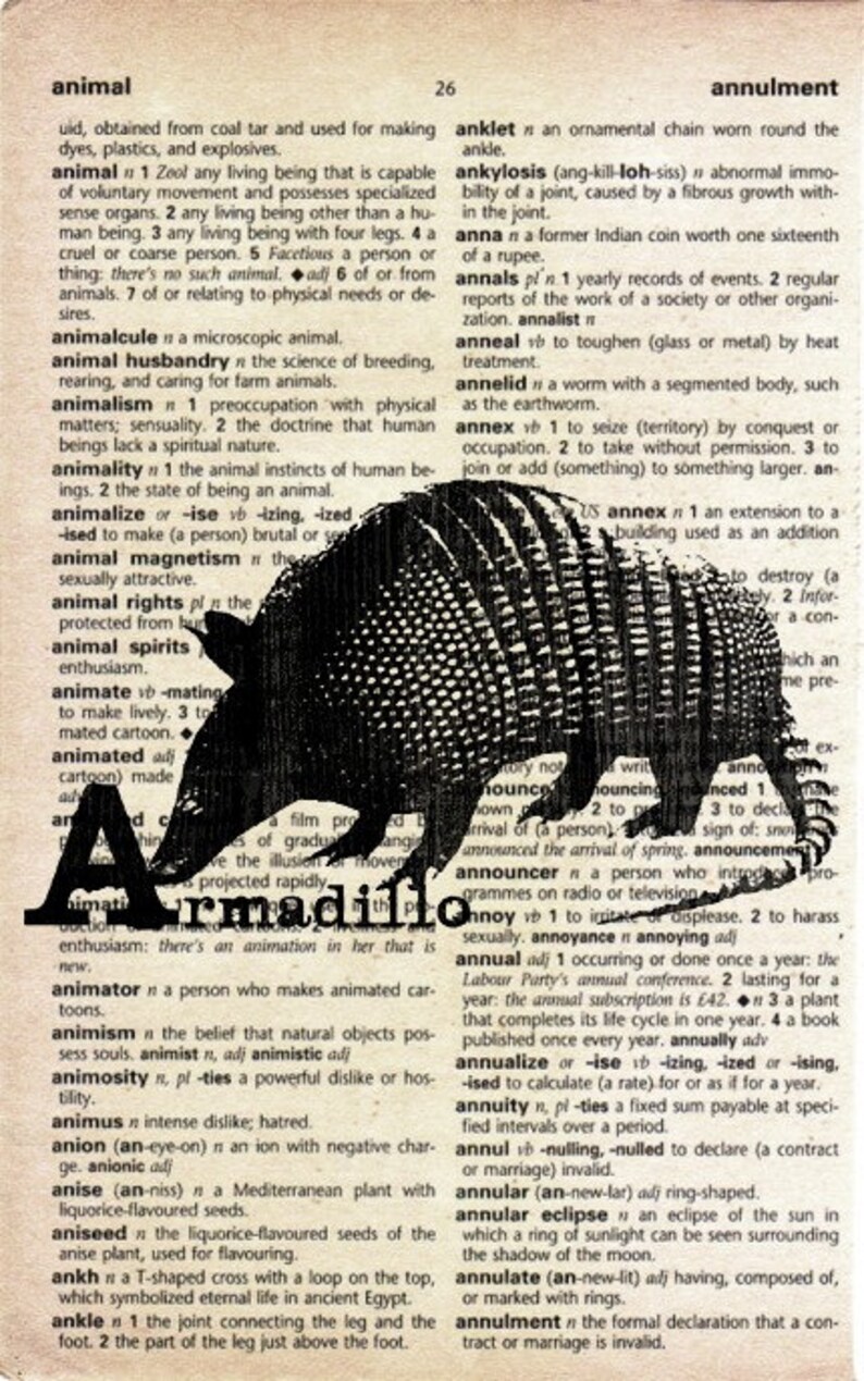 Animal Alphabet ABC Print on Vintage Dictionary Page Armadillo image 1