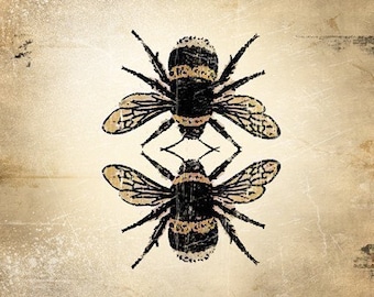 6x6 Insect Print - Bumble Bee