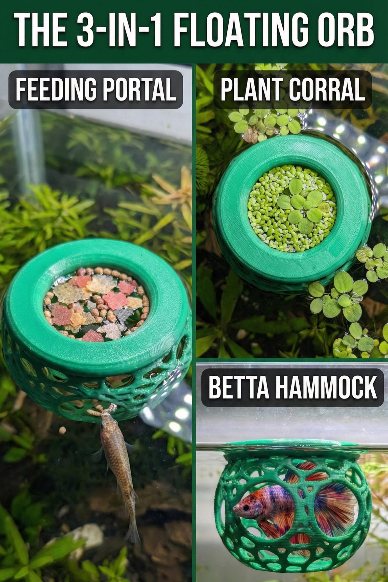 3D Printed Floating Aquarium Sphere: Feeder Ring, Betta Hammock, Plant ...