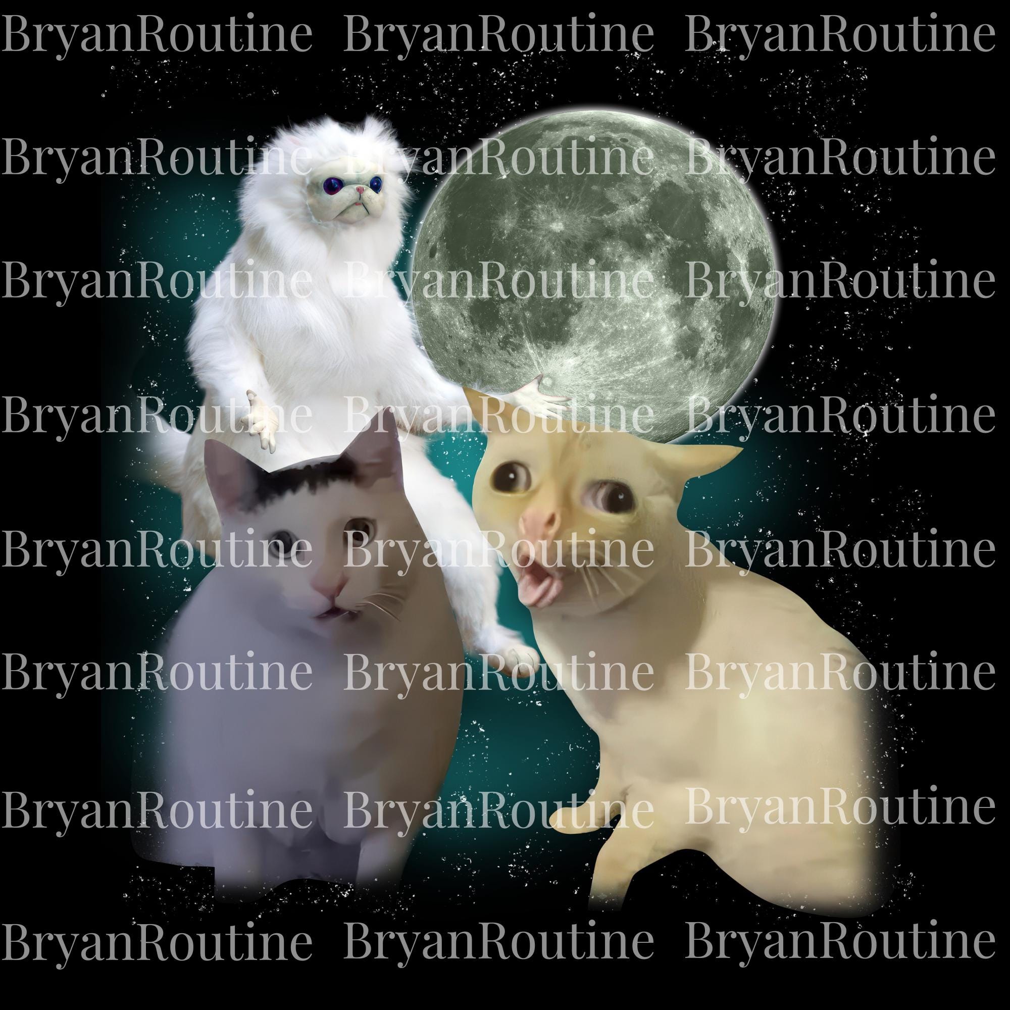 Full Moon Funny | TikTok, image size:2000x2000