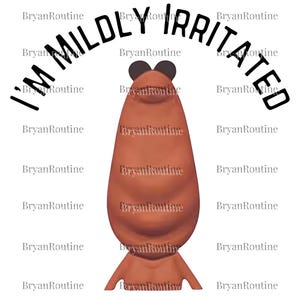 a cartoon-like creature with a large head and a small body, set against a white background with the text "I'm mildly irritated" written above it.