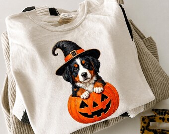 Bernese Mountain Dog Witch Pumpkin PNG, Halloween Dog Lover Digital Download
