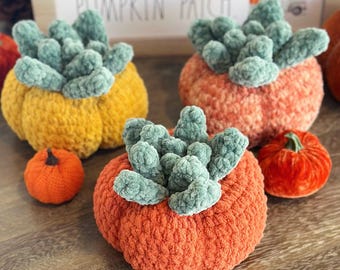 Pumpkin Succulent / PDF Download