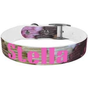 Woven Print Dog Collar with Personalized Name - Adjustable Pet Collar for Boy or Girl, Durable and Customizable - Perfect for Pet Lovers and