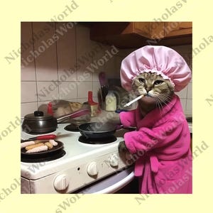 Funny Housewife Cat png, Vintage Cat png, Gen Z Joke png, Stupid Brainrot Gift, Cat Lover Gift, Funny Kitty png, Cool Cat Digital