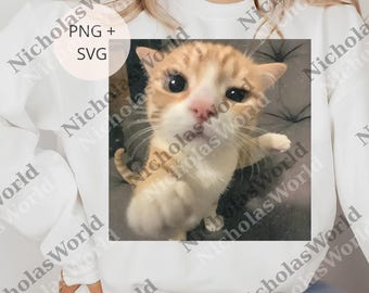 Funny Cats Meme png, Cute Cat png, Gen Z Joke Digital, Stupid Brainrot png, Cat Lover Gift, Funny Kitty png, Cool Cat png