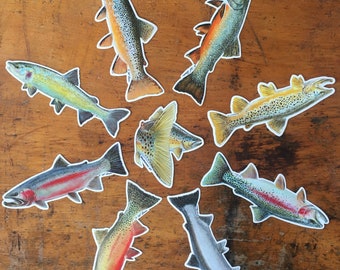 Trout Decal Combo Pack