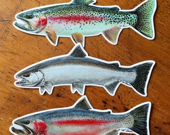 Rainbow Trout Decal Pack