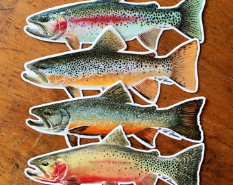 North American Trout - Decal Combo Pack