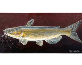 Channel Catfish Original Painting