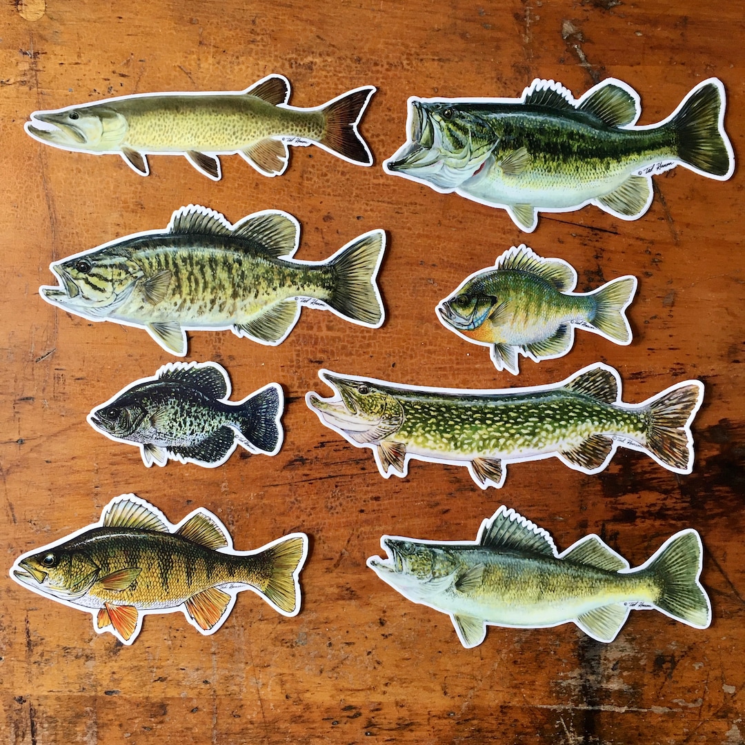 Dec Fish Sticker Fish Decal Combo Pack - Warm Water. - Etsy