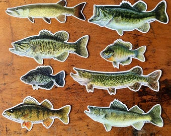 Fish Decal Combo Pack - Warm Water.