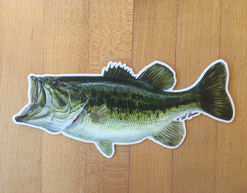 Largemouth Bass Vinyl Decal image 2