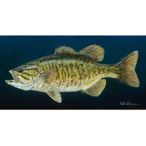 Smallmouth Bass on Blue, Limited Ed. Archival Print