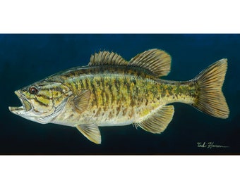 Smallmouth Bass on Blue, Limited Ed. Archival Print