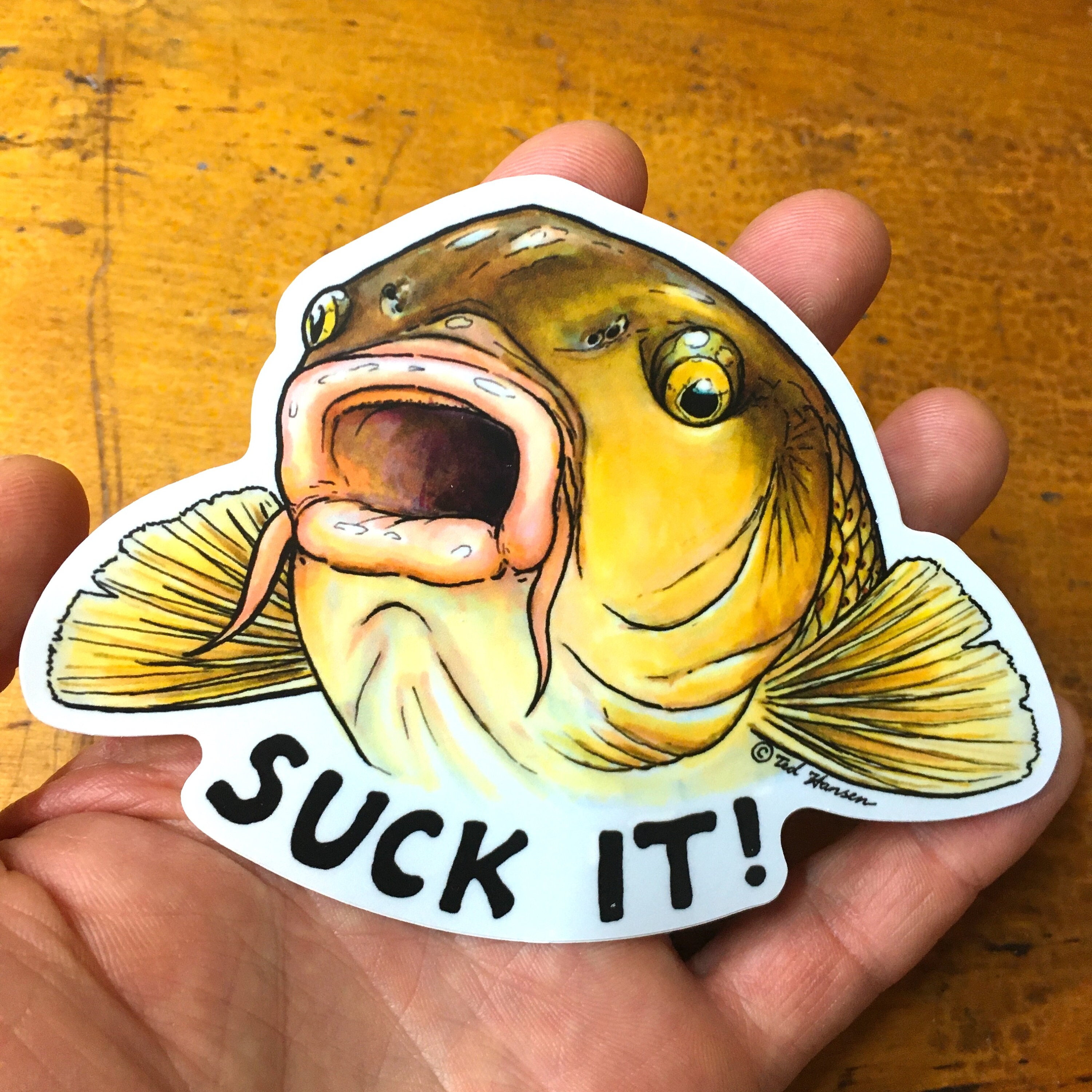 "Suck My Cod" Fishing Sticker – Boat, Tackle, 4x4 Decal – Sticker Collective #5943ST