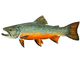 Brook Trout Vinyl Decal