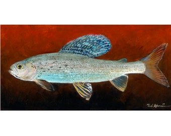 Shimmer Grayling, Limited Ed. Print on paper