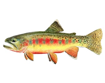 Golden Trout Vinyl Decal