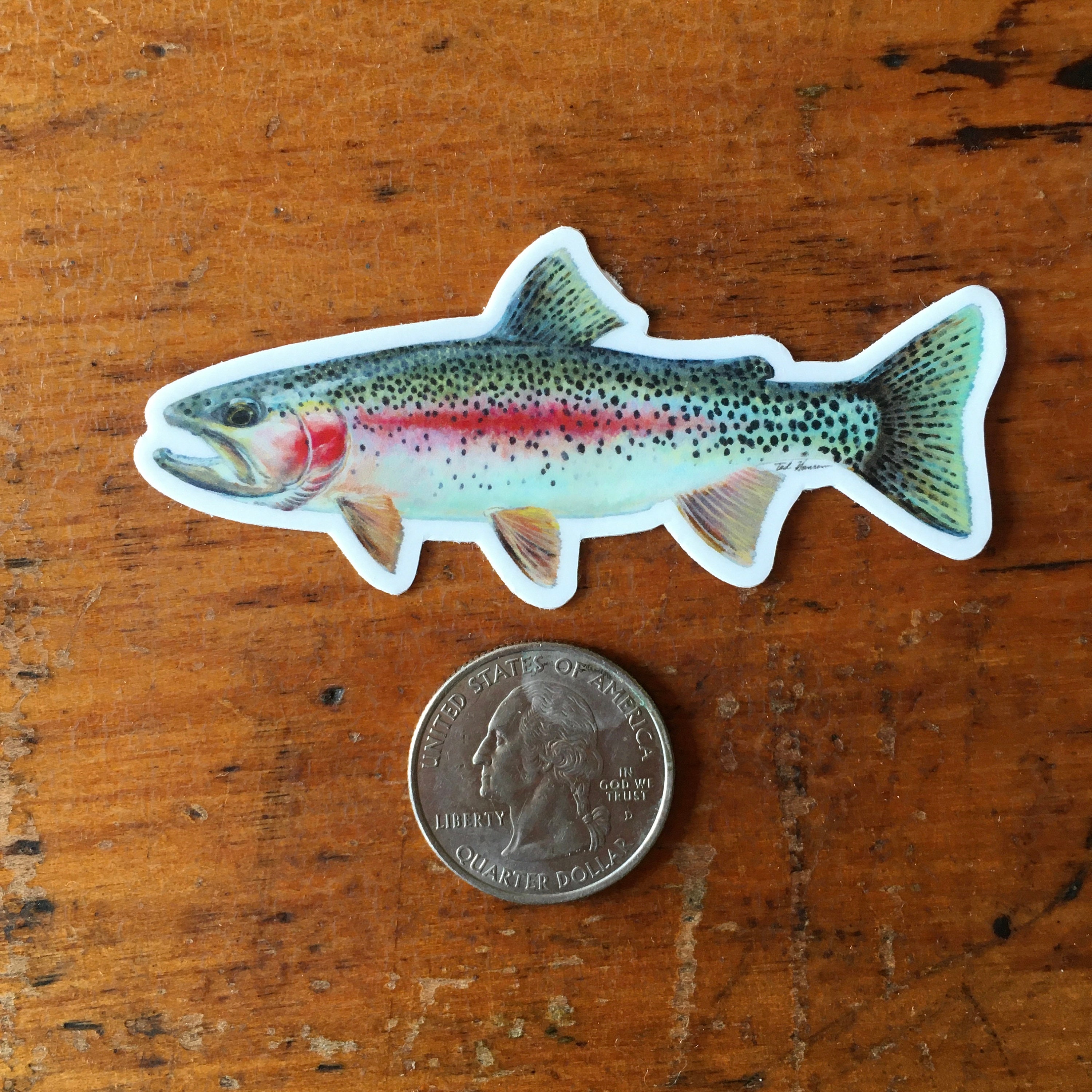 Rainbow Trout Fish - 8 Vinyl Sticker - For Car Laptop I-Pad - Waterproof  Decal 