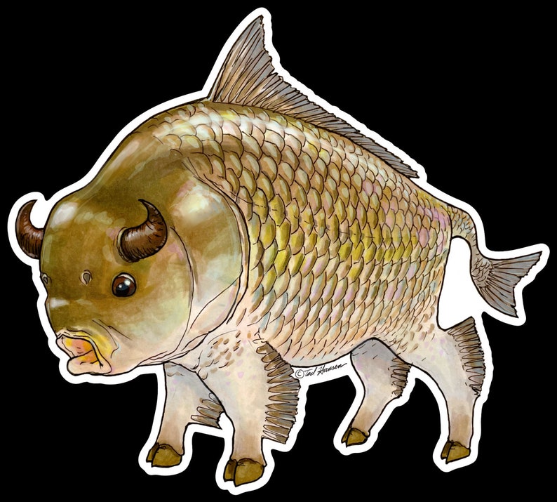 Bigmouth Buffalo Fish Vinyl Decal image 3