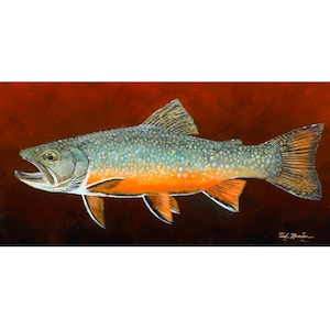 Shimmer Brookie, limited edition print on paper