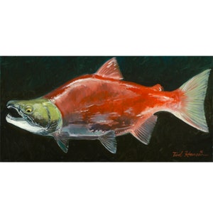 Spawning Red Salmon Archival Print in Canvas