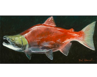 Spawning Red Salmon Archival Print in Canvas