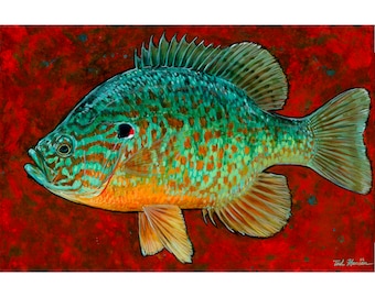 Pumpkinseed Sunfish Archival Print