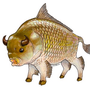 Bigmouth Buffalo Fish Vinyl Decal image 1