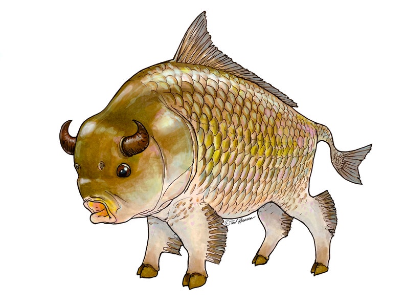 Bigmouth Buffalo Fish Vinyl Decal image 1