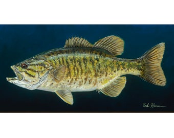 Smallmouth Bass Archival Print on Canvas